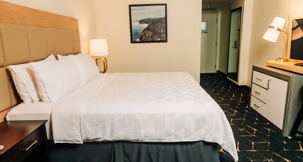 Holiday Inn SAN SALVADOR Room Type - 1 King Standard  Volcano View