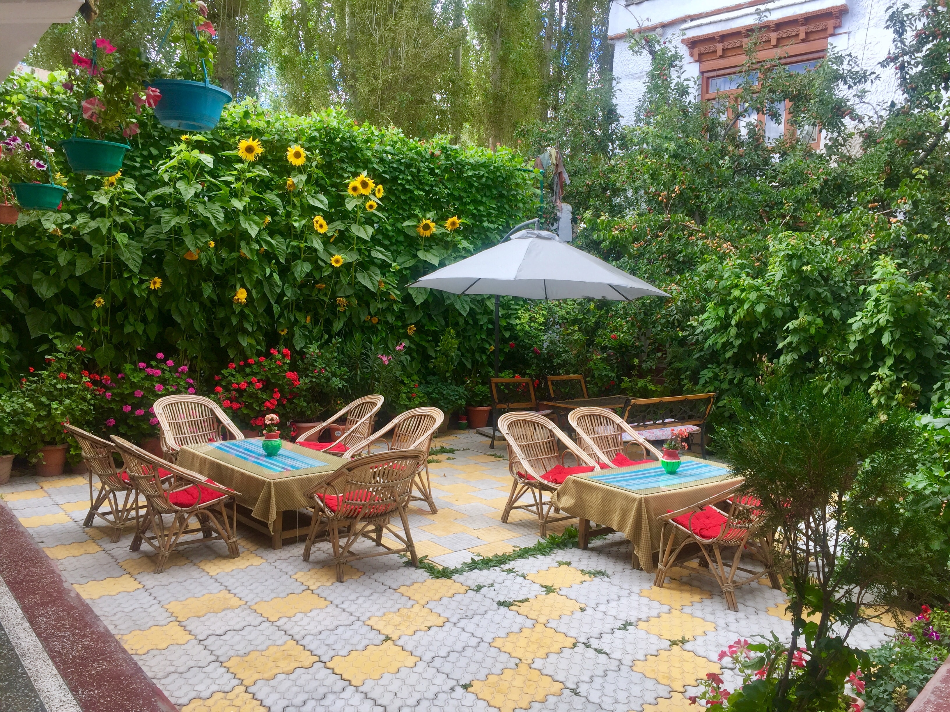 Hotel Shaynam - Tap to explore photos