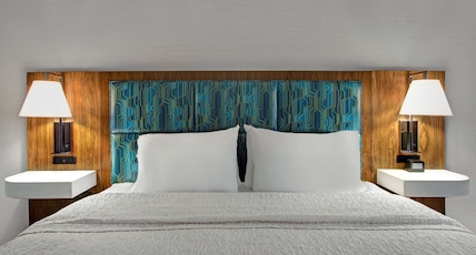 Hampton Inn & Suites by Hilton Syracuse Dewitt Room Type - 1KING STUDY SOFABED NOSMOK