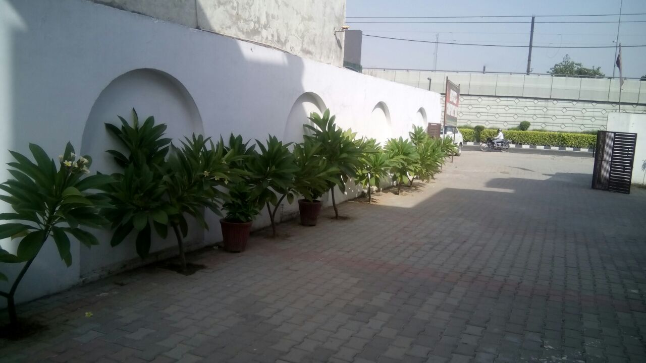 Main gallery