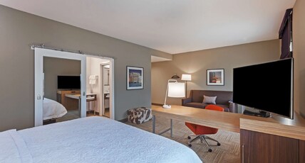Hampton Inn by Hilton Bulverde Texas Hill Country Room Type - 1 KING W SOFBED MIC FRG NS