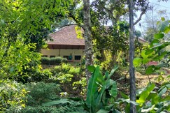 Grahil Home Stay
