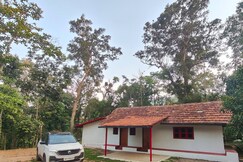 Coorg Farmscape - Coffee Estate