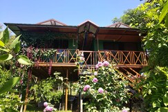 Address of Mist Valle Resort