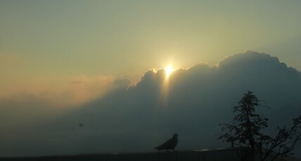 Blue Moon Stay 2 Room Type - Blue Moon Stay 2