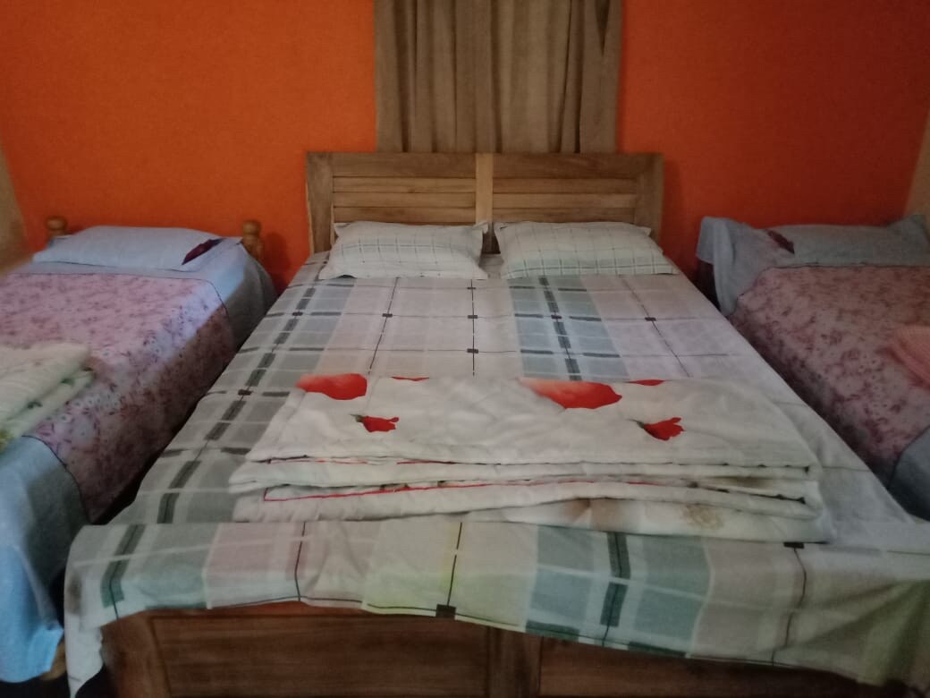 Junglebliss homestay - Tap to explore photos