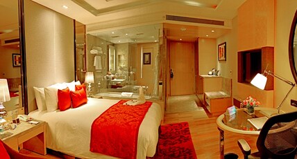 Radisson Blu Hotel Jaipur Room Type - Superior Room with Bathtub (Non Smoking)