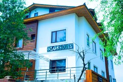 Hotel Blossoms Srinagar