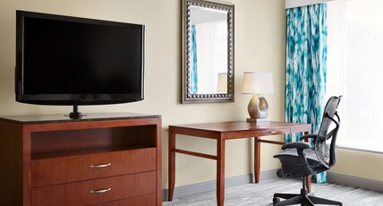 Hilton Garden Inn Dallas Richardson Room Type - 1 KING ACC RM ROLLIN SHWR