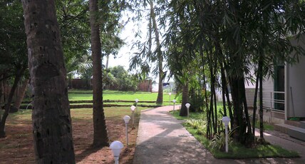 Magic Sand Beach Resort. Room Type - Double Room with Garden View
