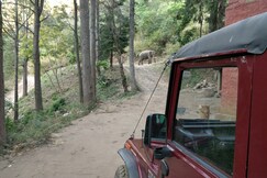 Address of Secret Valley Jungle Resort