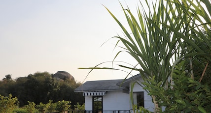 Courtyard Balecha Room Type - Courtyard Balecha