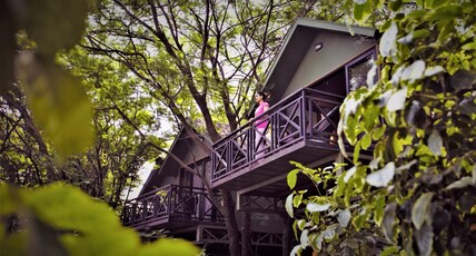 Anandvan Resort Room Type - Tree Top Nest With Balcony