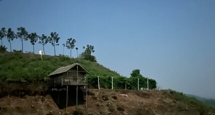 Anvik Farms Room Type - Bamboo Villa