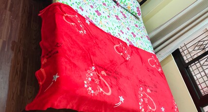 Ansh Paying Guest | Near Kashi Vishwanath Temple Room Type - Double Bed Non Ac Room With Queen Size Bed