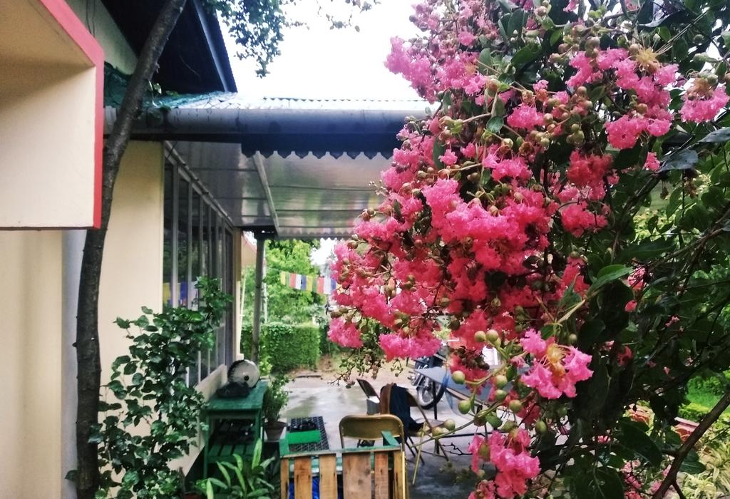 Gibbon Backpackers Hostel - Tap to explore photos