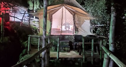 Vedic Vibes Room Type - Furnished Circular Swiss Tent (Twin Bed)