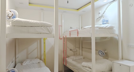 Trippme Rishikesh - Boutique Hostel, Tapovan Room Type - Single Bed in 4-Bed Standard AC Mixed Dorm with Ensuite Bathroom Trippme Rishikesh - Boutique Hostel, Tapovan Room Type - Single Bed in 4-Bed Standard AC Mixed Dorm with Ensuite Bathroom
