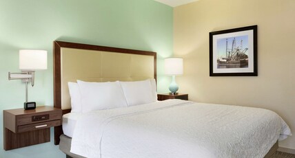 Hampton Inn & Suites by Hilton Tarpon Springs Room Type - 1 KING MICROWV FRIDGE NS