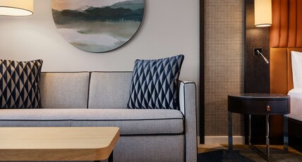 Hilton Vienna Danube Waterfront Room Type - KING EXECUTIVE ROOM