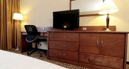 Holiday Inn MONTERREY NORTE Room Type - Standard Room