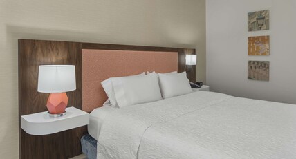Hampton Inn & Suites by Hilton Macon I-75 North Room Type - 1 KING BED NONSMOKING