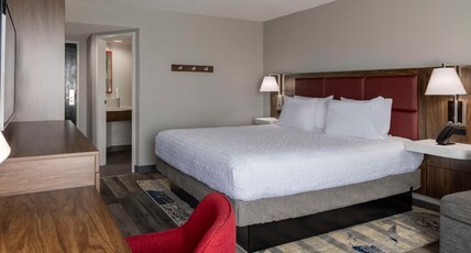 Hampton Inn by Hilton Athens Room Type - 1 KING BED NS W SLEEPER