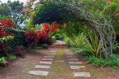 42 Green pastures tea Estate Experience By LexStays