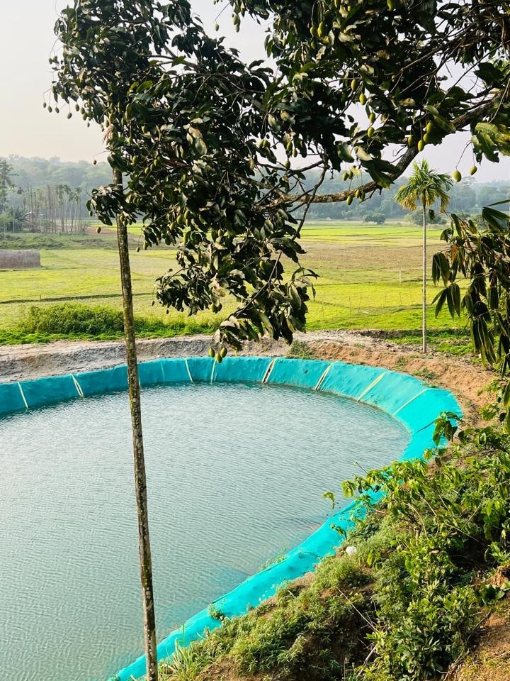 Nomad's Arc Wayanad | Coffee plantation stay - Tap to explore photos