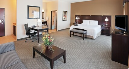 Hampton Inn & Suites by Hilton Dumas Room Type - 1KNG MOB HEAR ACC W TUB NS