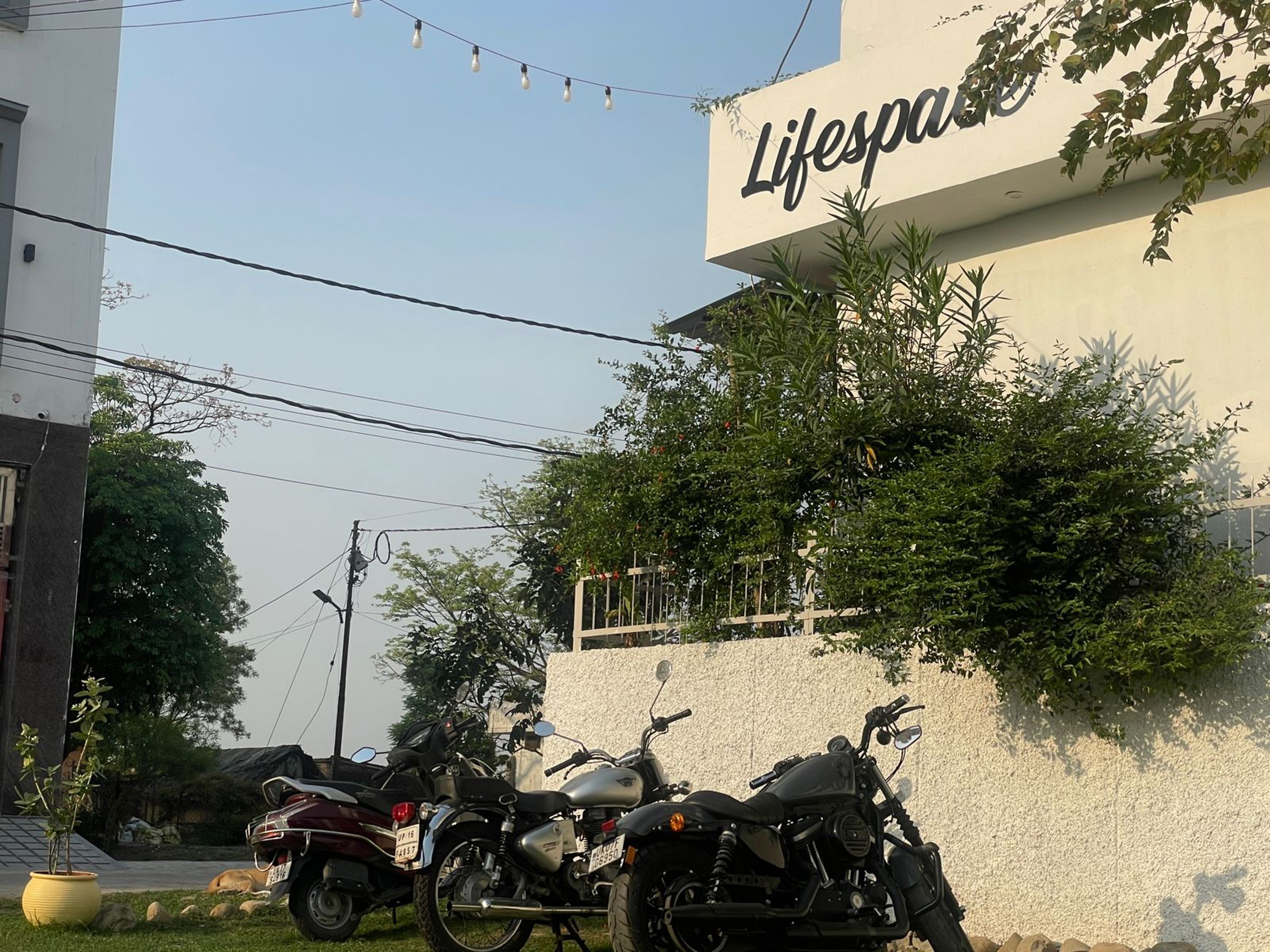 Lifespace Rishikesh Backpacker Hostel - Tap to explore photos
