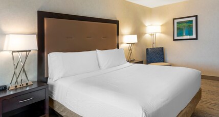 Holiday Inn Express Colton Room Type - 1 King Standard Mobility Accessible Tub