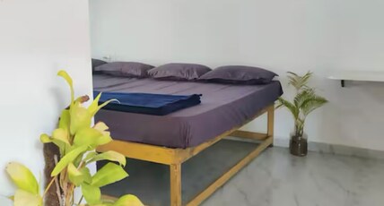Hashtag Sakleshpura Homestay  Room Type - Hashtag Dormitory 2