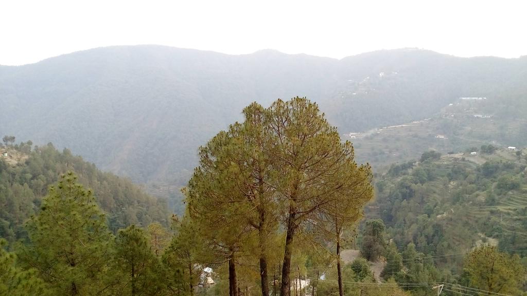 Hotel Emerald Valley - Tap to explore photos