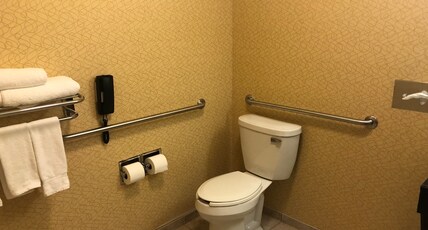 Holiday Inn Express & Suites LANSING-DIMONDALE Room Type - 1 Kng Ste Com Mob Acc Tub Addl Lvng Area