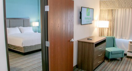Holiday Inn Hotel & Suites DENVER TECH CENTER-CENTENNIAL Room Type - 1 King Suite Sofa Bed