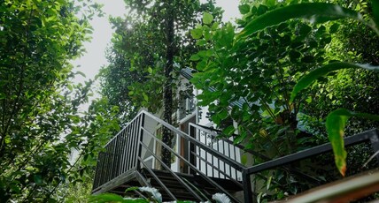 Mithra Munnar Treehouse and Rooms Room Type - Mithra Valley Retreat A-Frame