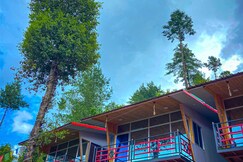 Cottages By The White Mountain