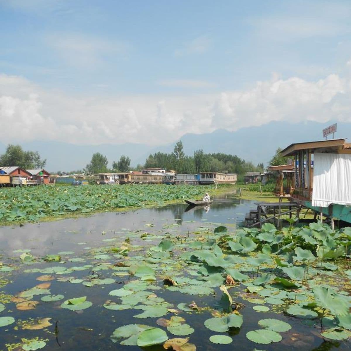 Young Robinhood Houseboat - Tap to explore photos