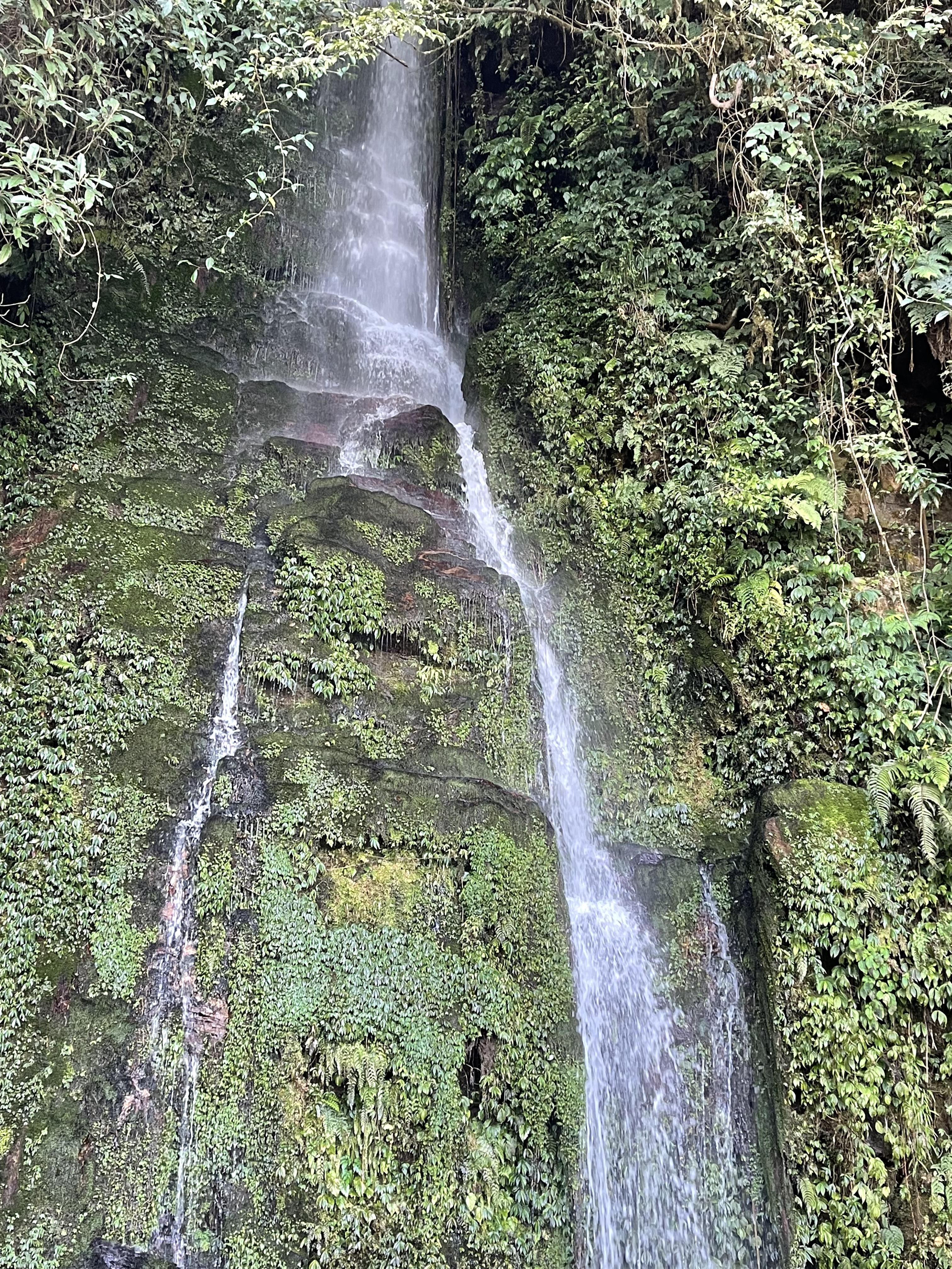 Adarash Hotel - Tap to explore photos