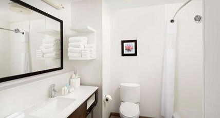 Hampton Inn Denver Tech Center South CO Room Type - KING ROOM NS