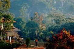 Eletaria Resort Thekkady | With Cardamom Plantation Experience