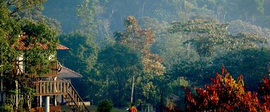 Eletaria Resort Thekkady | With Cardamom Plantation Experience