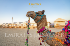 Emirates Luxury Desert Camp