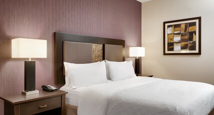 Holiday Inn Express Hotel & Suites Billings Room Type - 1 King Bed Standard Comm Access