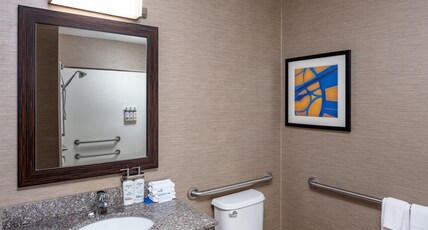 Holiday Inn Express St. Louis West - O'Fallon Room Type - 1 King Bed Suite