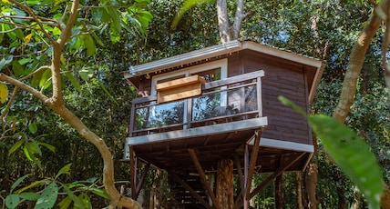 Nirvana Hill Resort Room Type - Tree House