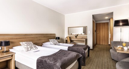 Mercure Wiazowna Brant Room Type - Standard Room with 2 single beds