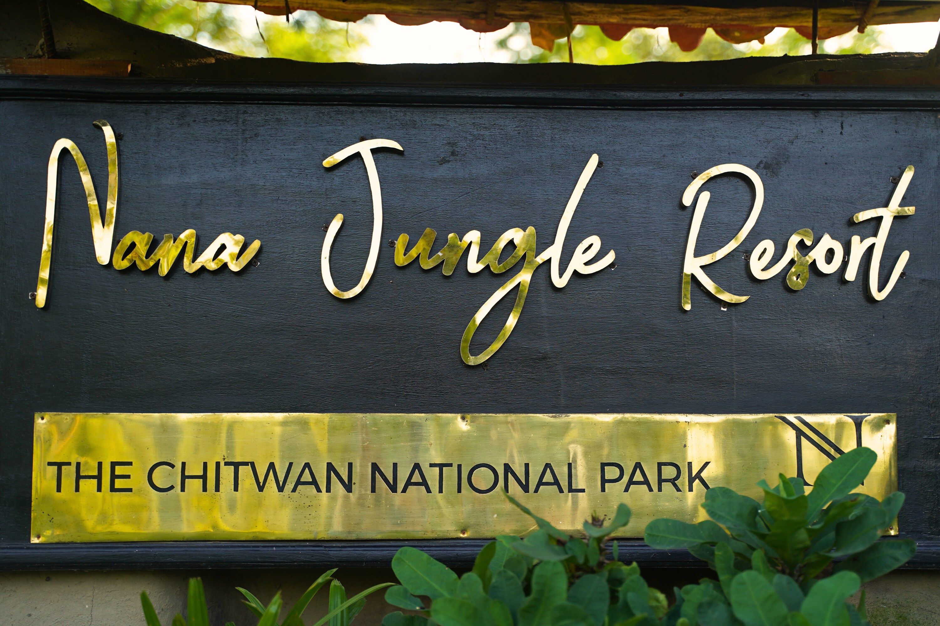 Nana Jungle Resort Near Chitwan National Park - Tap to explore photos