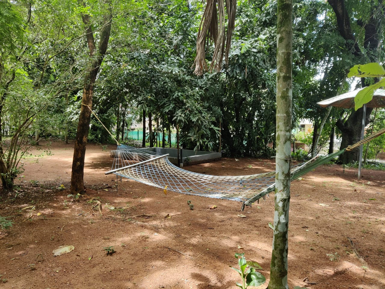 Hemera Kochi Tree Cabin - Tap to explore photos